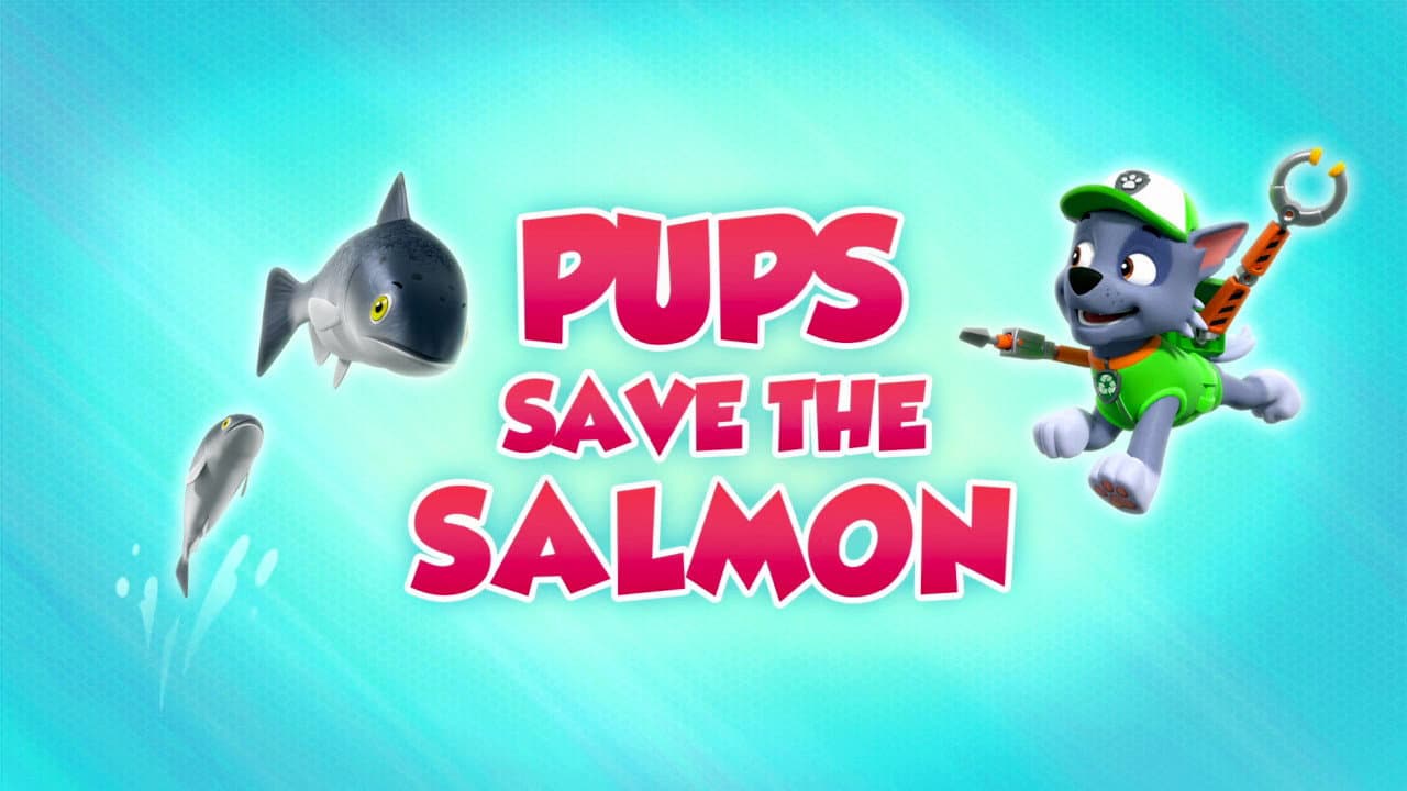 Still from Pups Save the Salmon