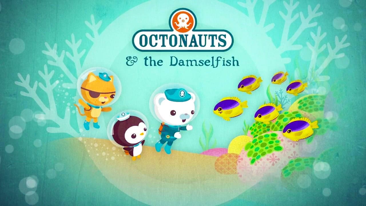 Still from The Damselfish
