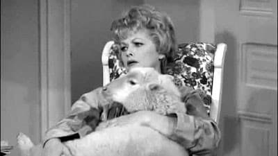 Still from Lucy Buys a Sheep