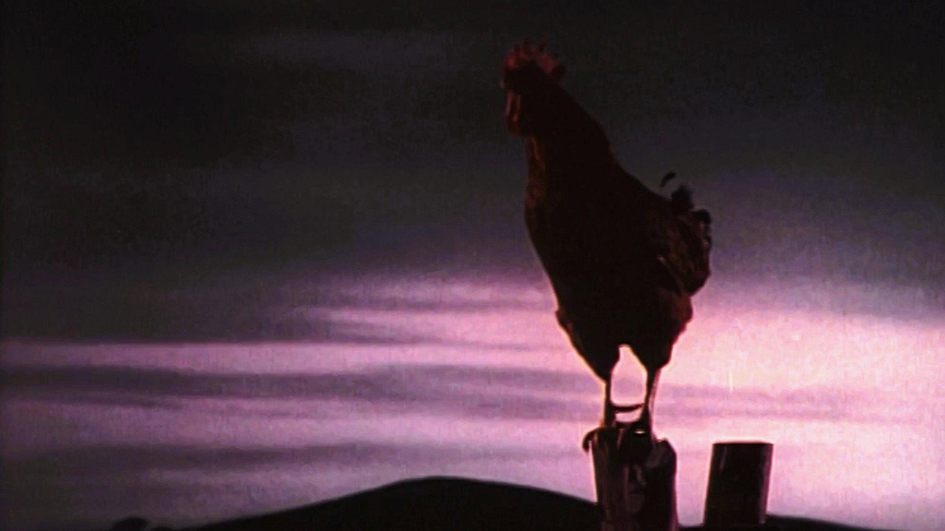 Still from My Husband, the Rooster Renter