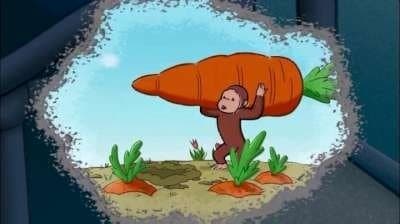 Still from The Perfect Carrot