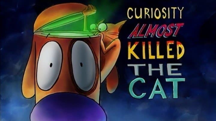 Still from Curiosity Almost Killed The Cat