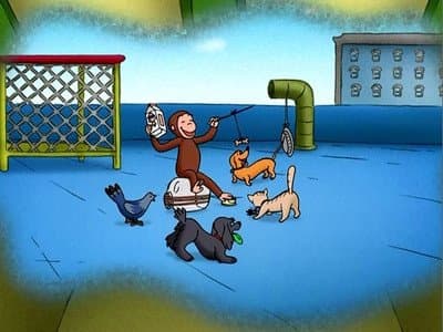 Still from The All-Animal Recycled Band