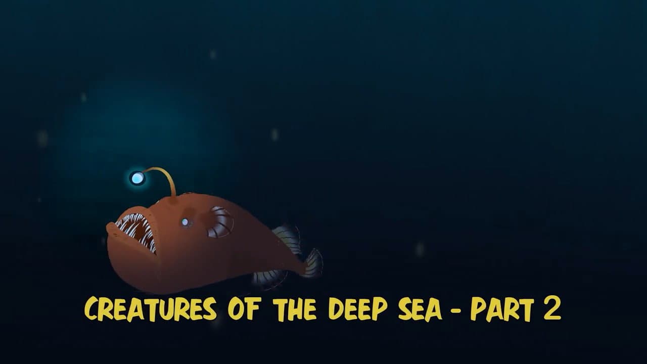 Still from Creatures of the Deep Sea: Part 2