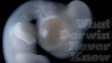 Still from What Darwin Never Knew