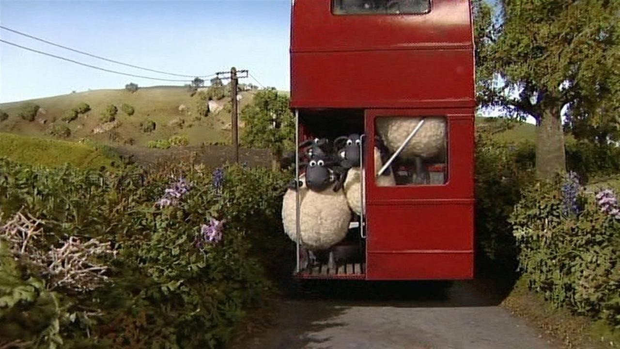 Still from Sheep on the Loose