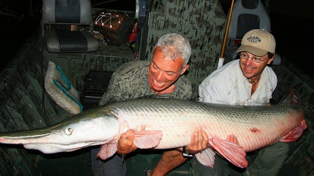 Still from Alligator Gar