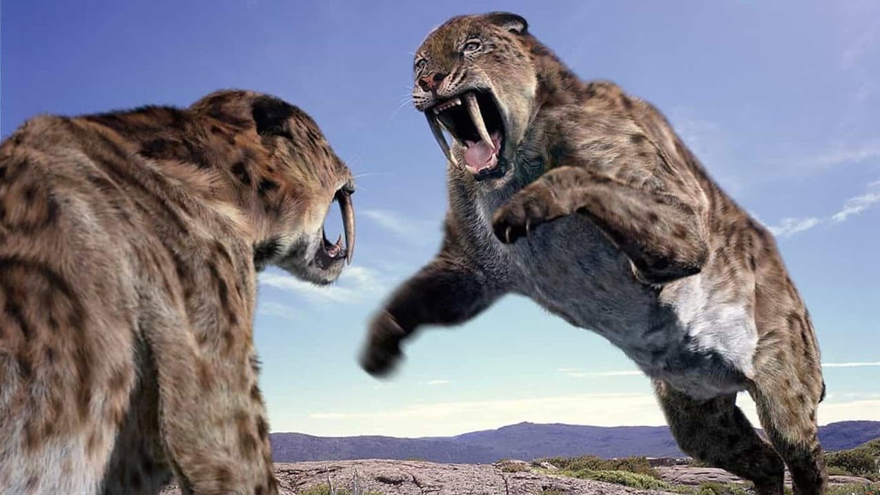 Still from Sabre Tooth