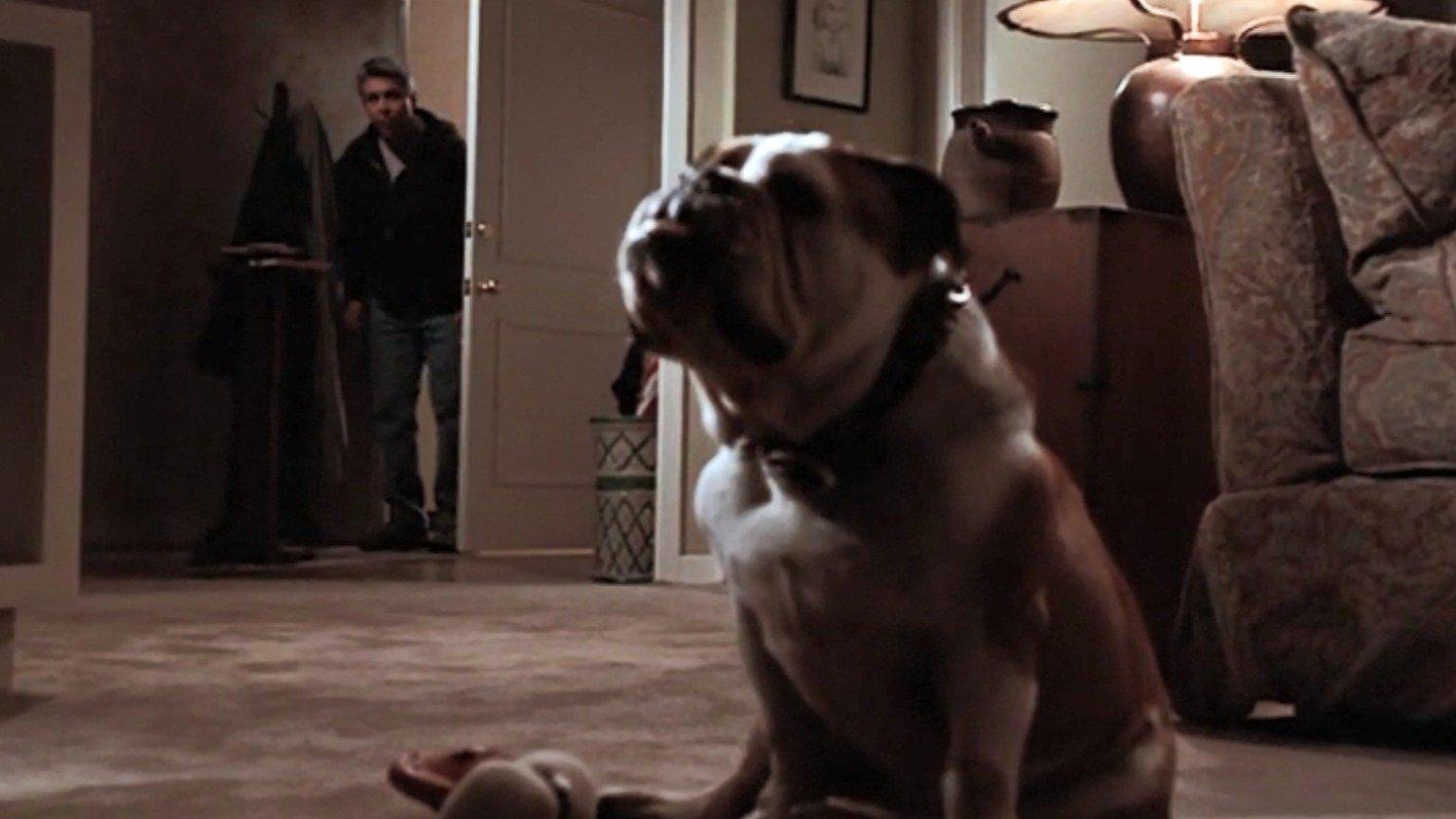 Still from And Baby Makes 10