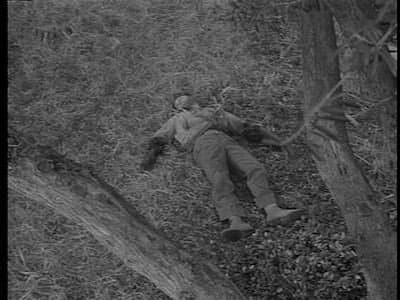 Still from Survival