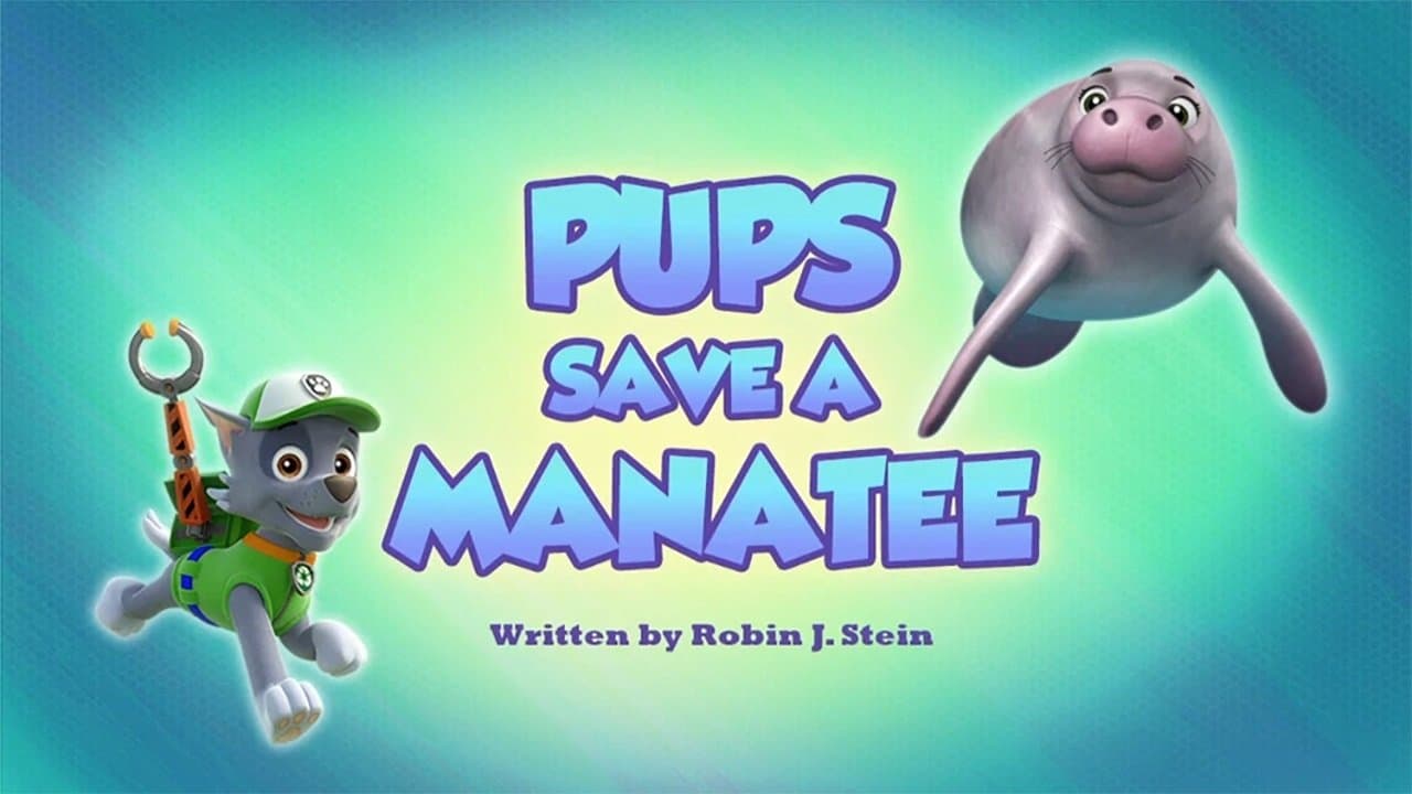 Still from Pups Save a Manatee