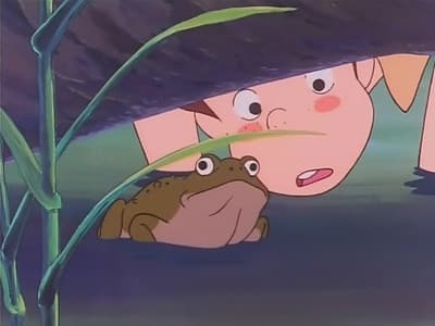 Still from The frog contest