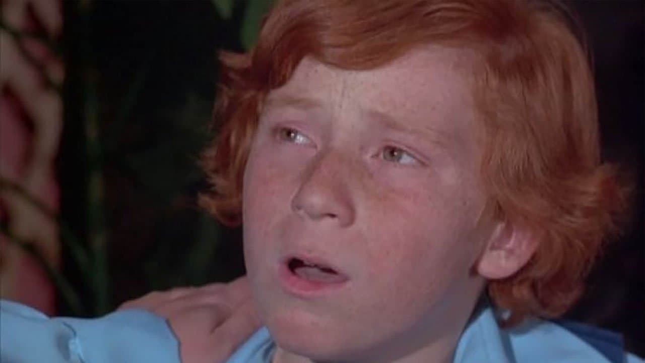 Still from Did You Hear the One About Danny Partridge?