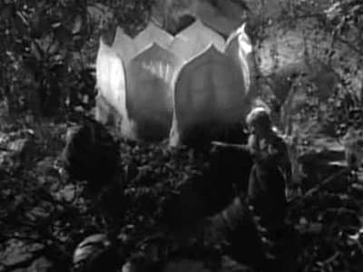 Still from Attack of the Monster Plants
