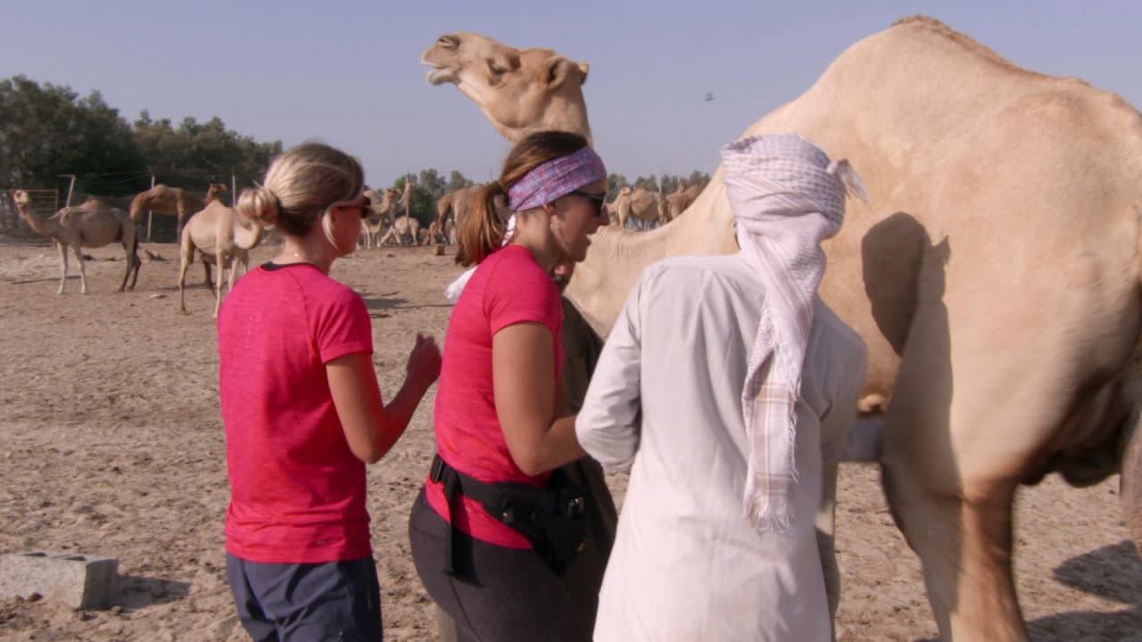 Still from The First Rule of the Amazing Race Club (1)