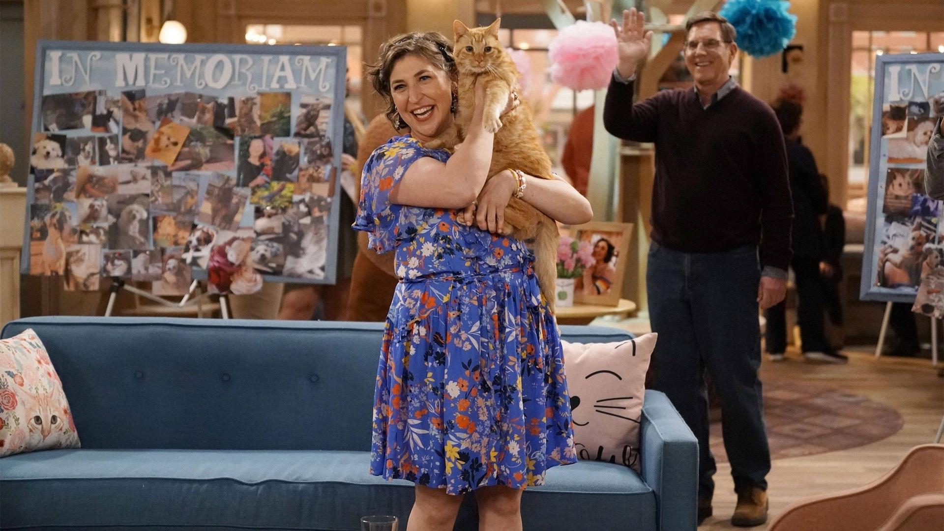 Still from Cat-A-Versary
