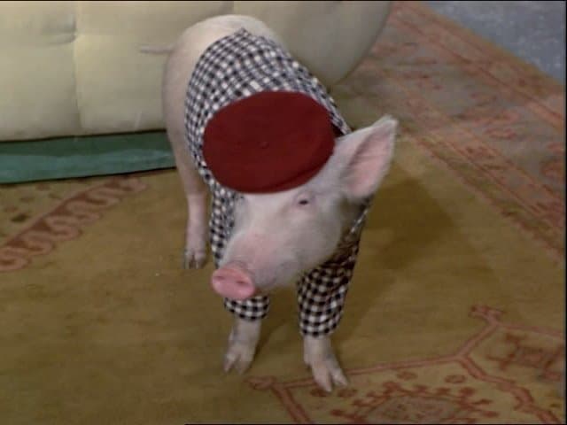 Still from A Tale of a Tail