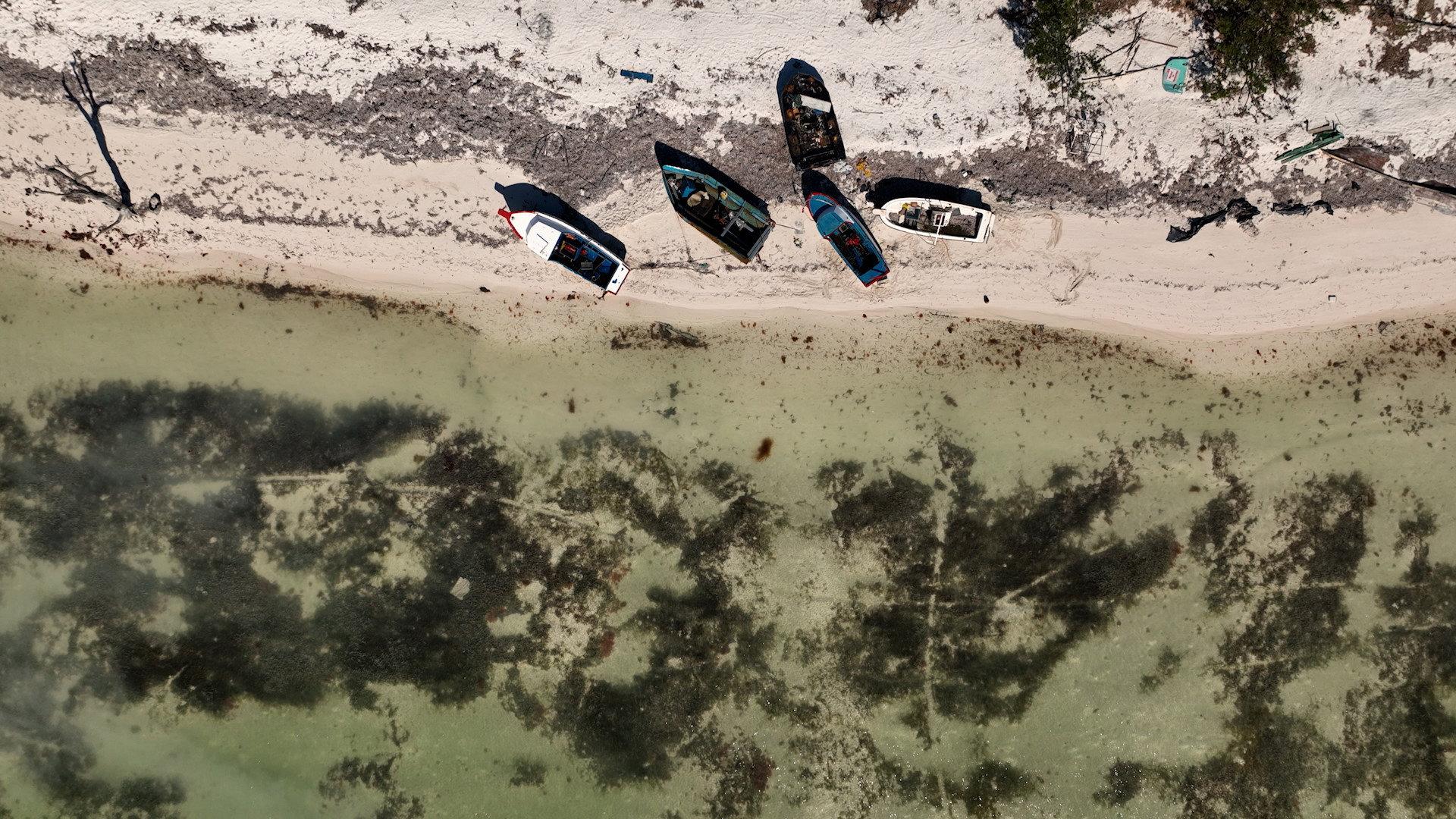 Still from Thursday, January 19, 2023