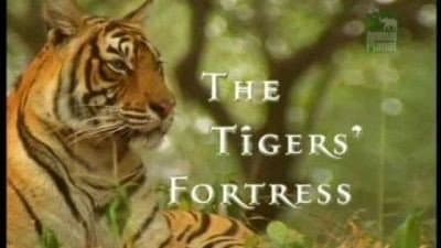Still from The Tigers' Fortress