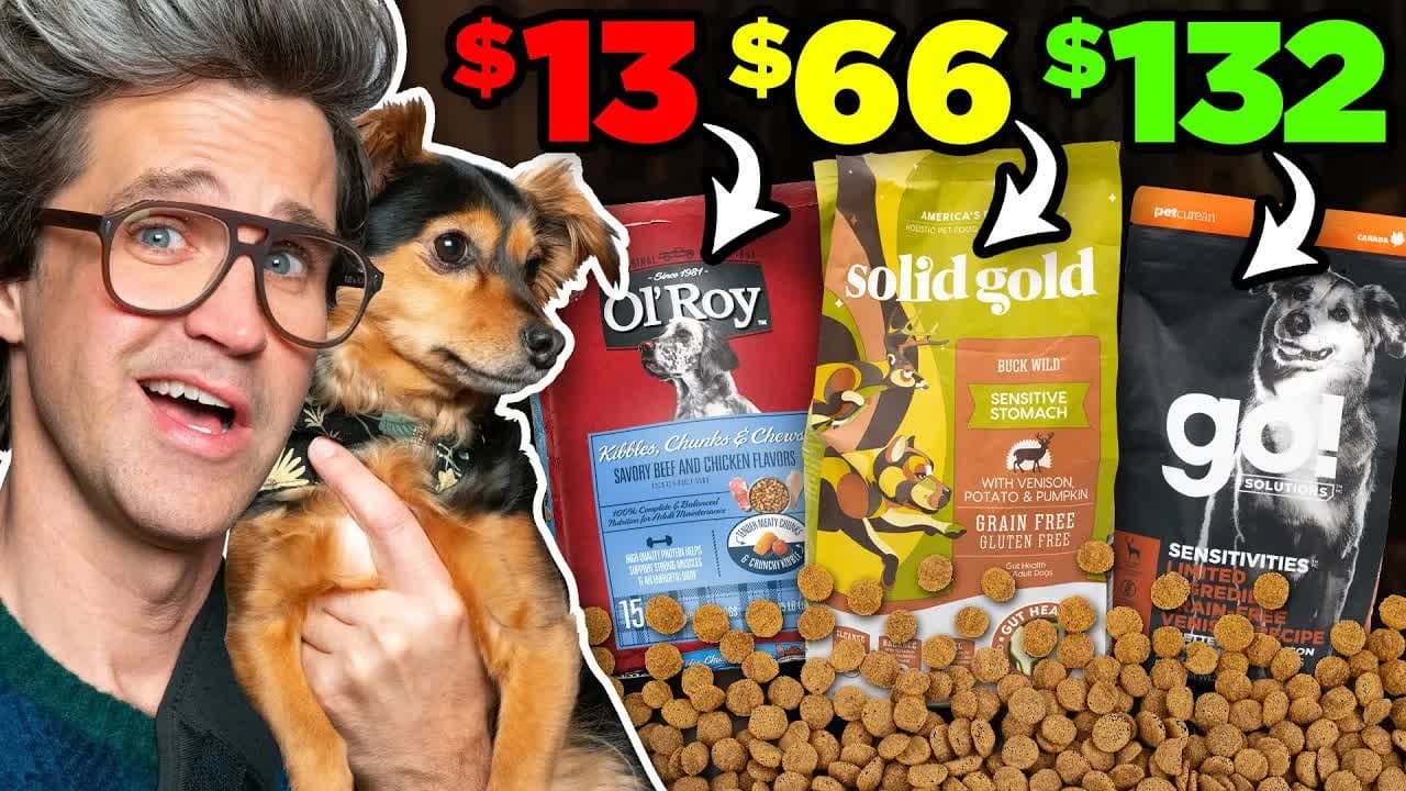 Still from Is Expensive Dog Food Worth It?