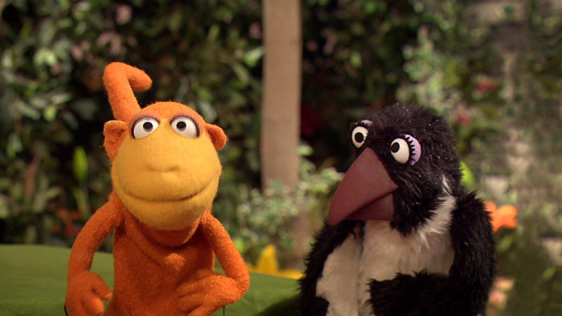Still from Wild Animals Shop for Lunch (repeat)