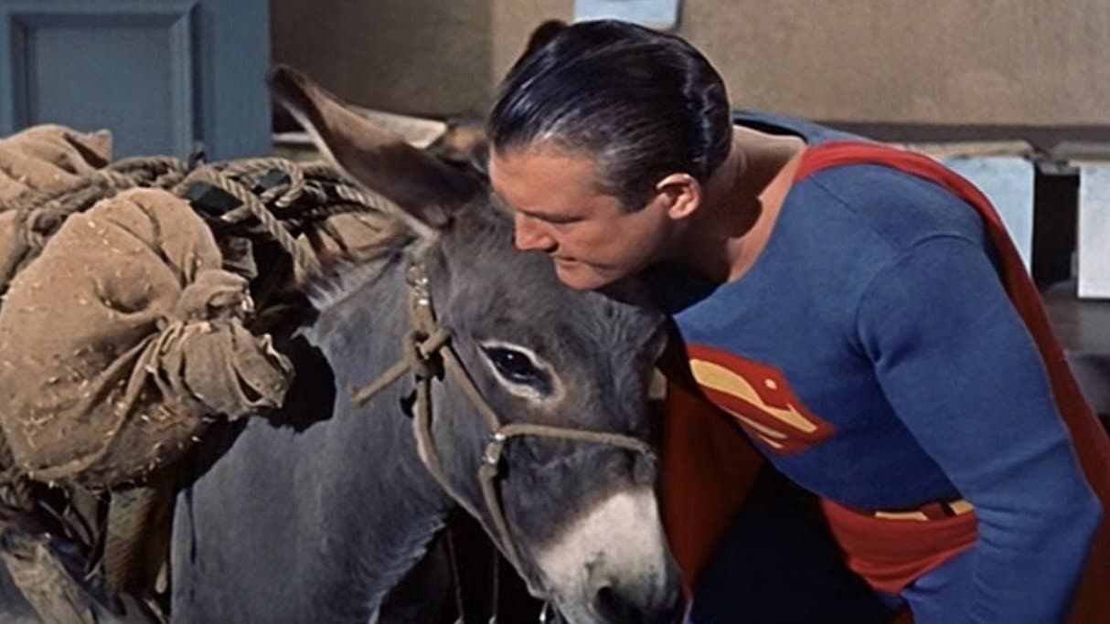 Still from The Brainy Burro