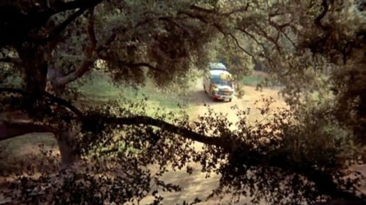 Still from M is for the Many Things