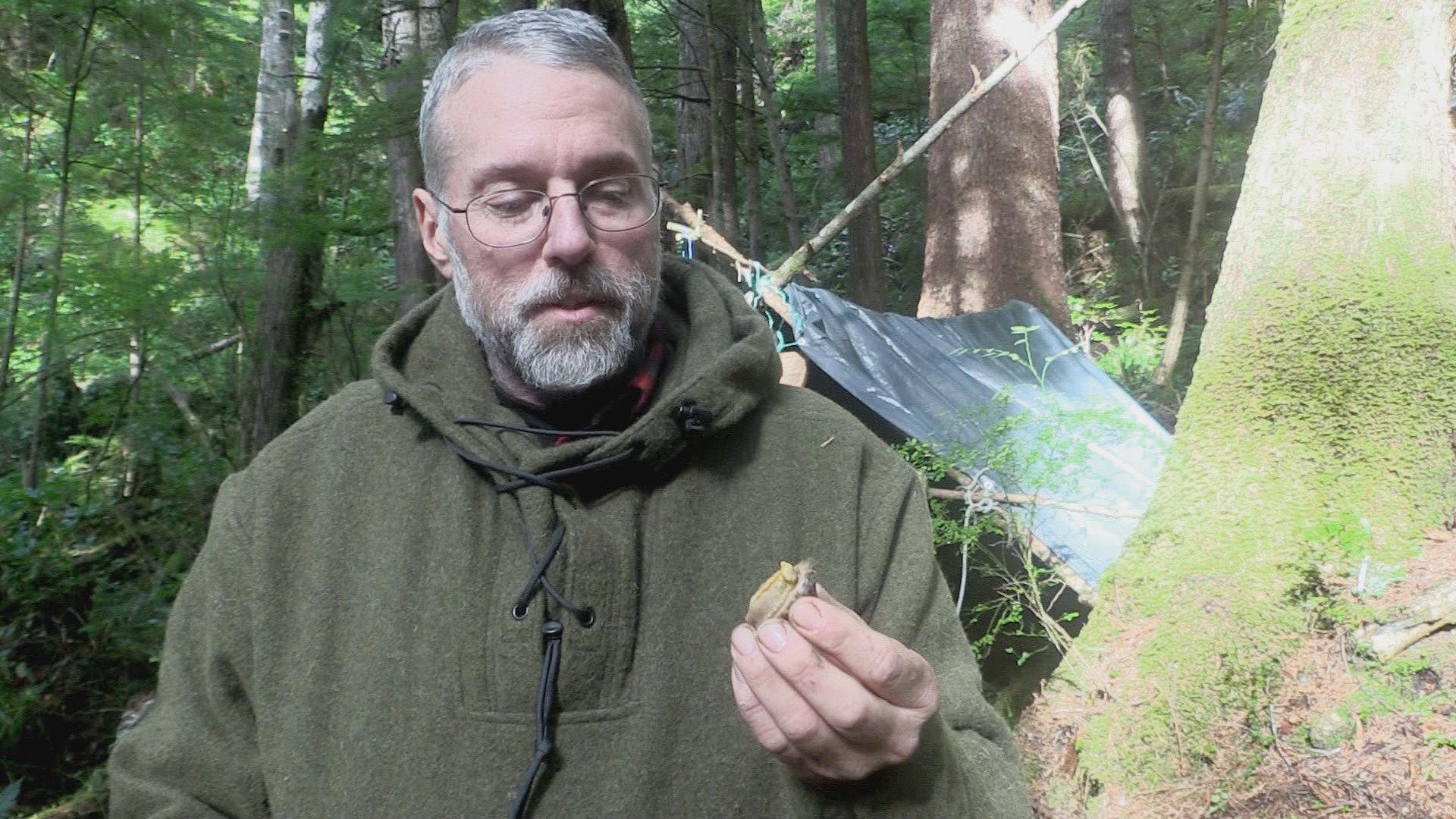 Still from Wild History: Trial By Fire