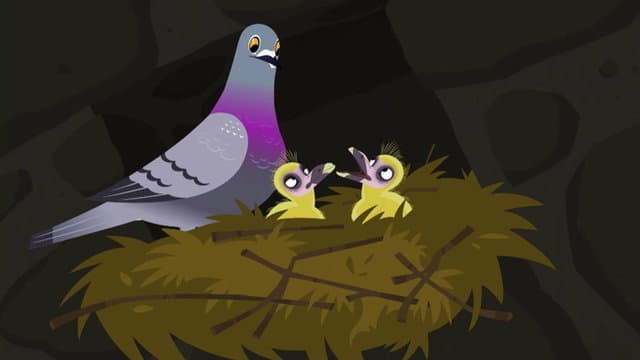 Still from Falcon City