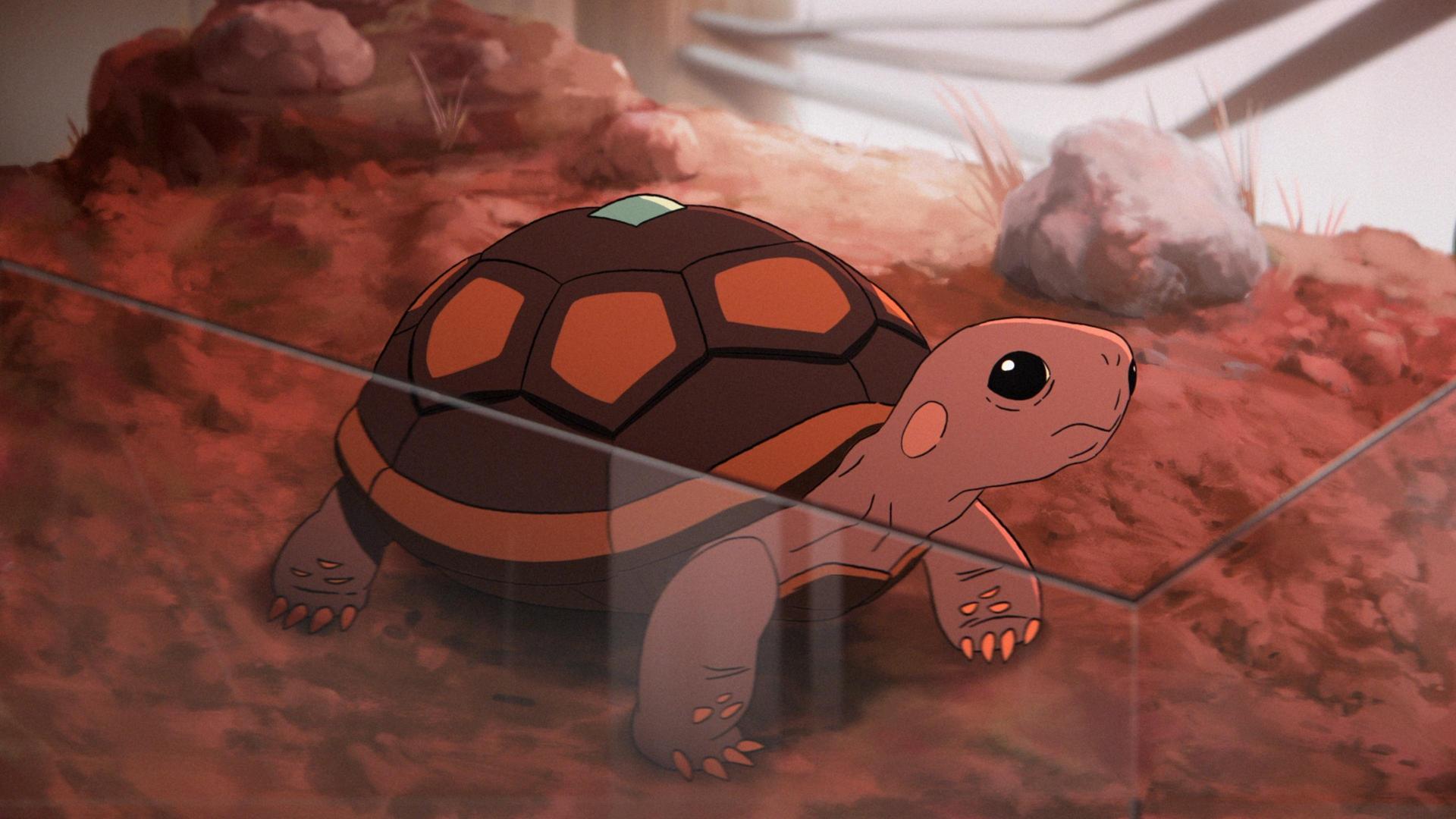 Still from Cliff's Edge