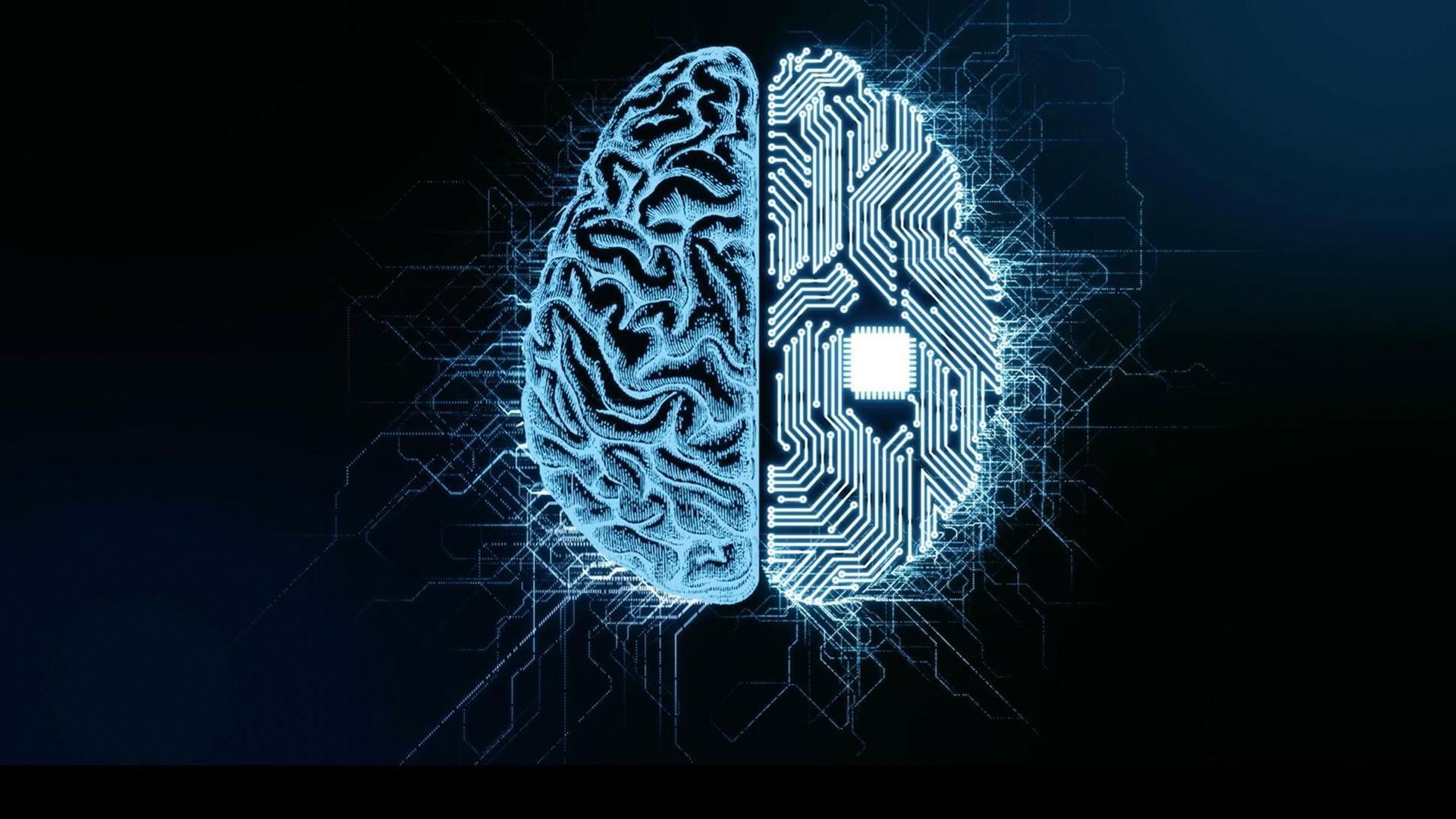 Still from NOVA Wonders Can We Build a Brain?