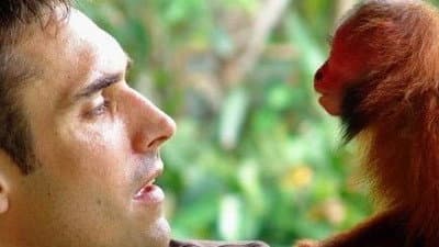 Still from Uakari: Secrets Of The English Monkey