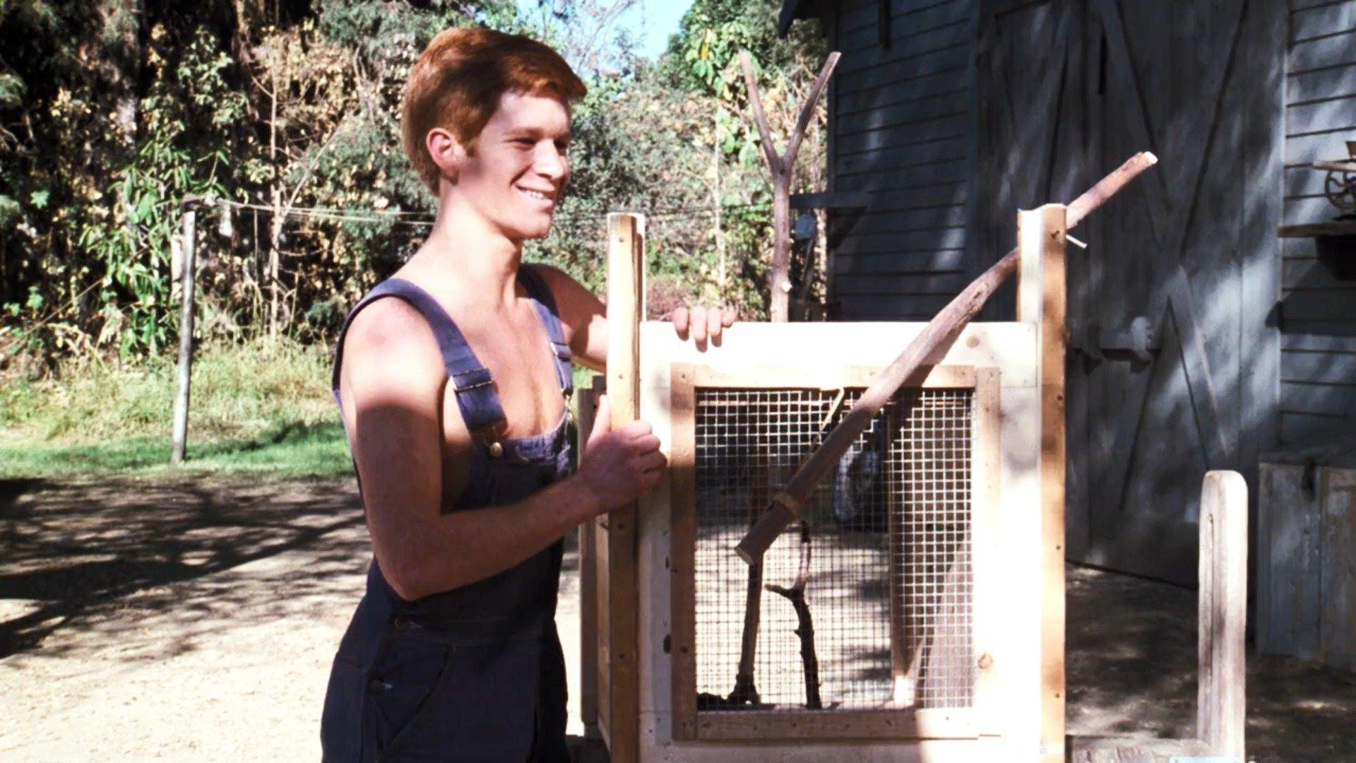 Still from The Fox