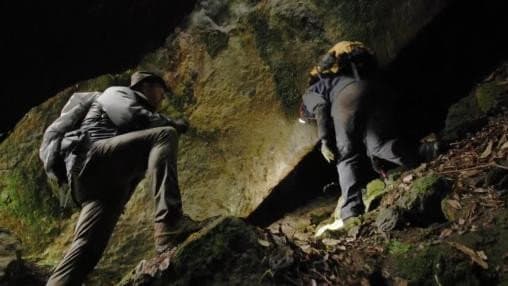 Still from The Quest for El Dorado