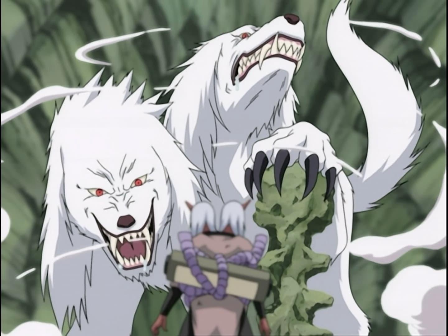Still from Roar and Howl! The Ultimate Tag-Team!