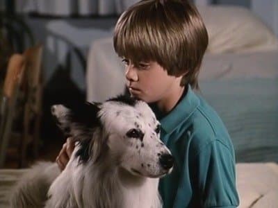 Still from Man's Best Friend (2)