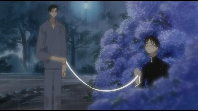 Still from Hydrangea
