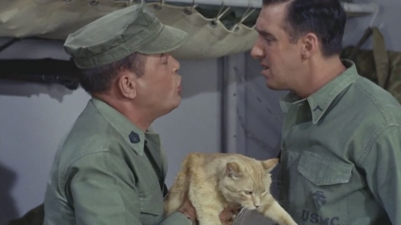 Still from Cat Overboard