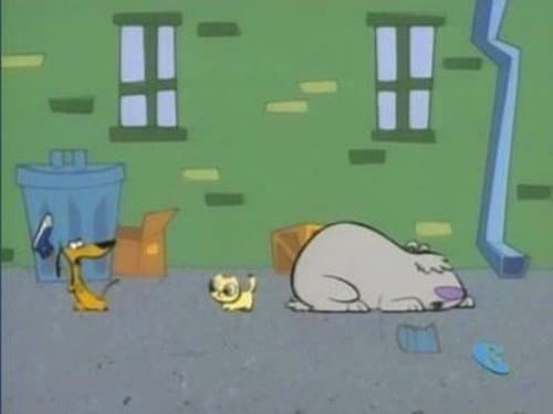 Still from Cat!