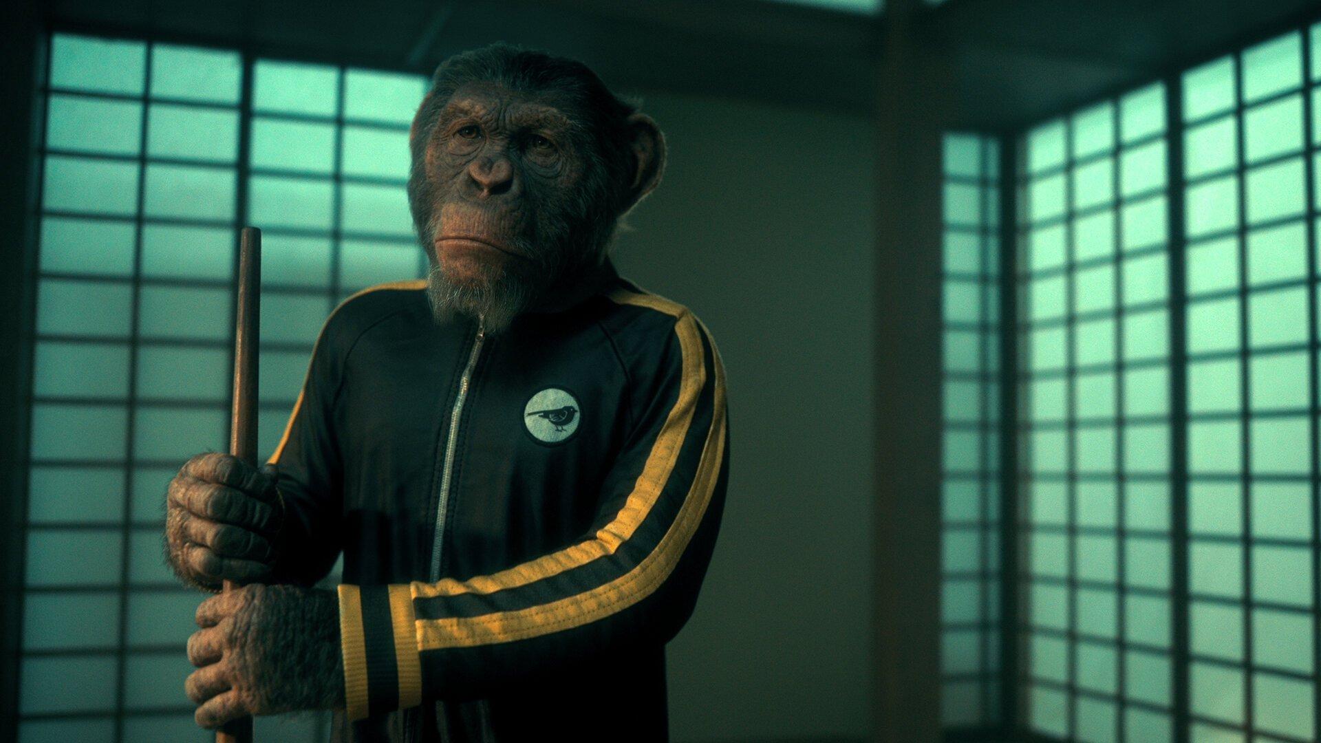 Still from Marigold