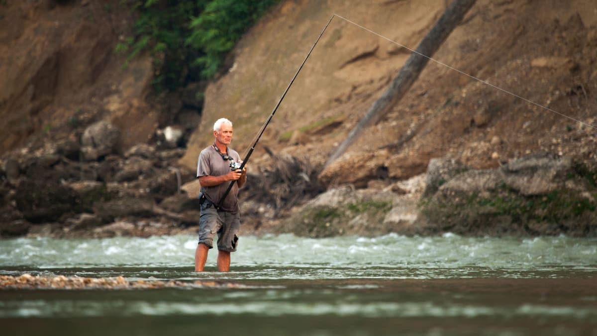 Still from Return of the Killer Catfish