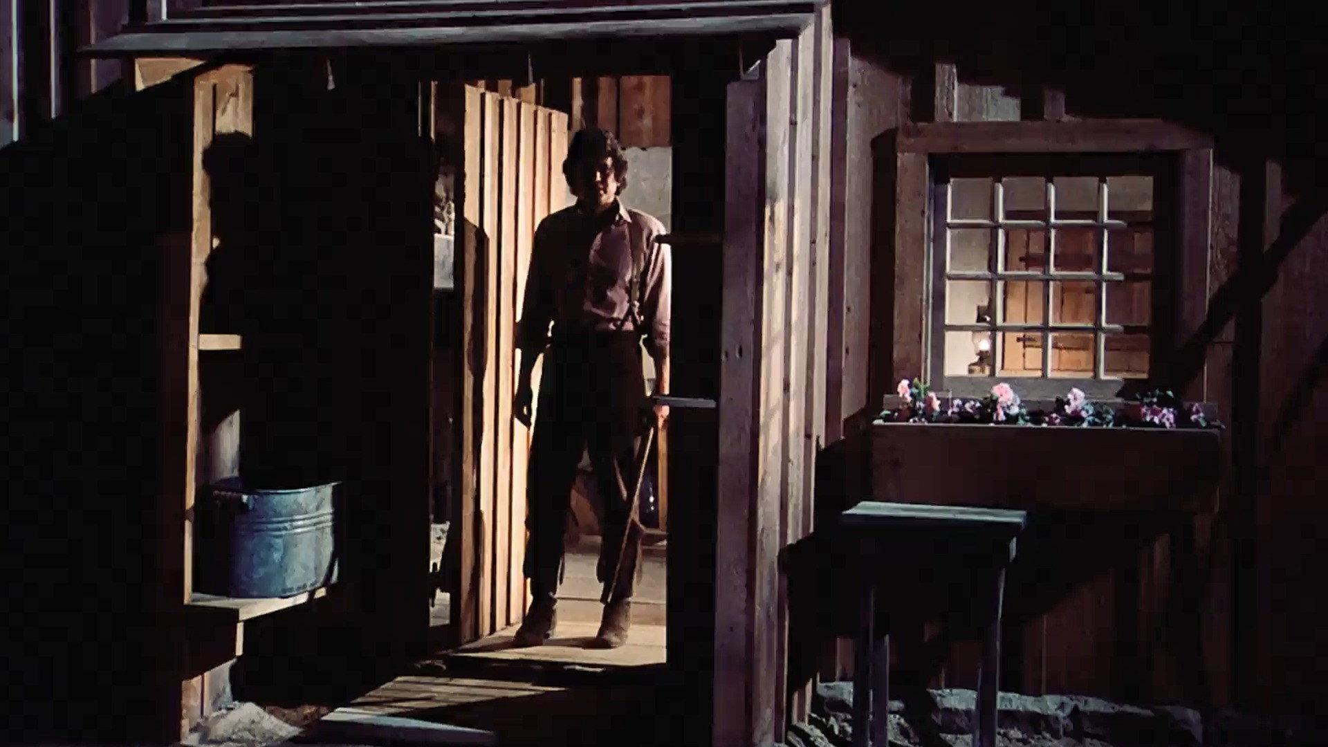 Still from The Raccoon