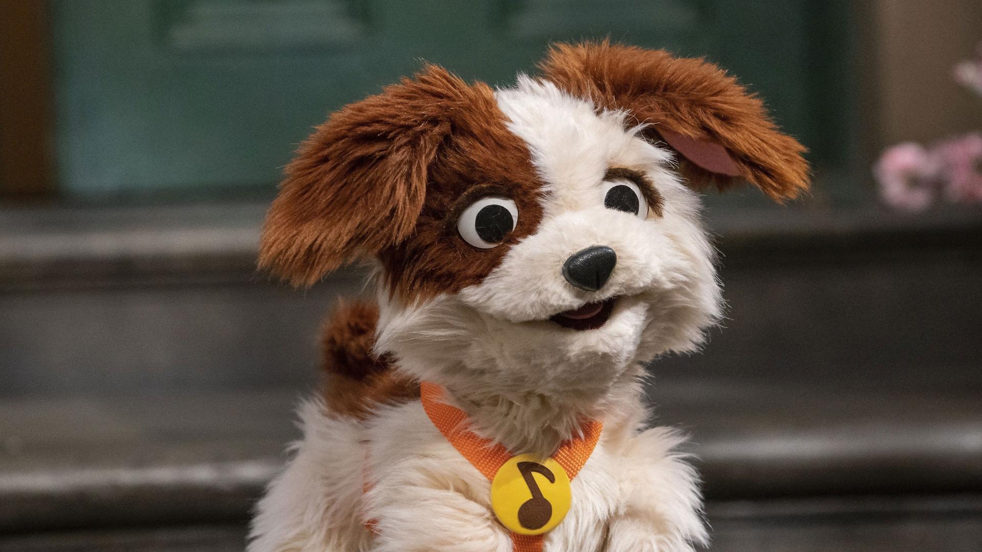 Still from Doggie Job Search