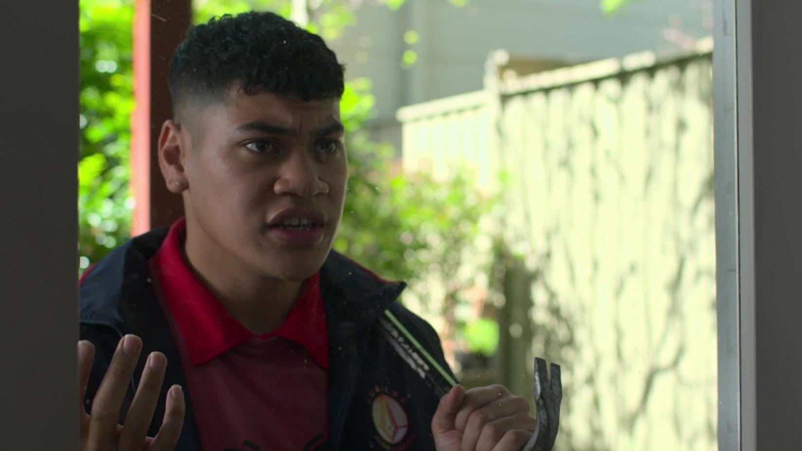 Still from Strays
