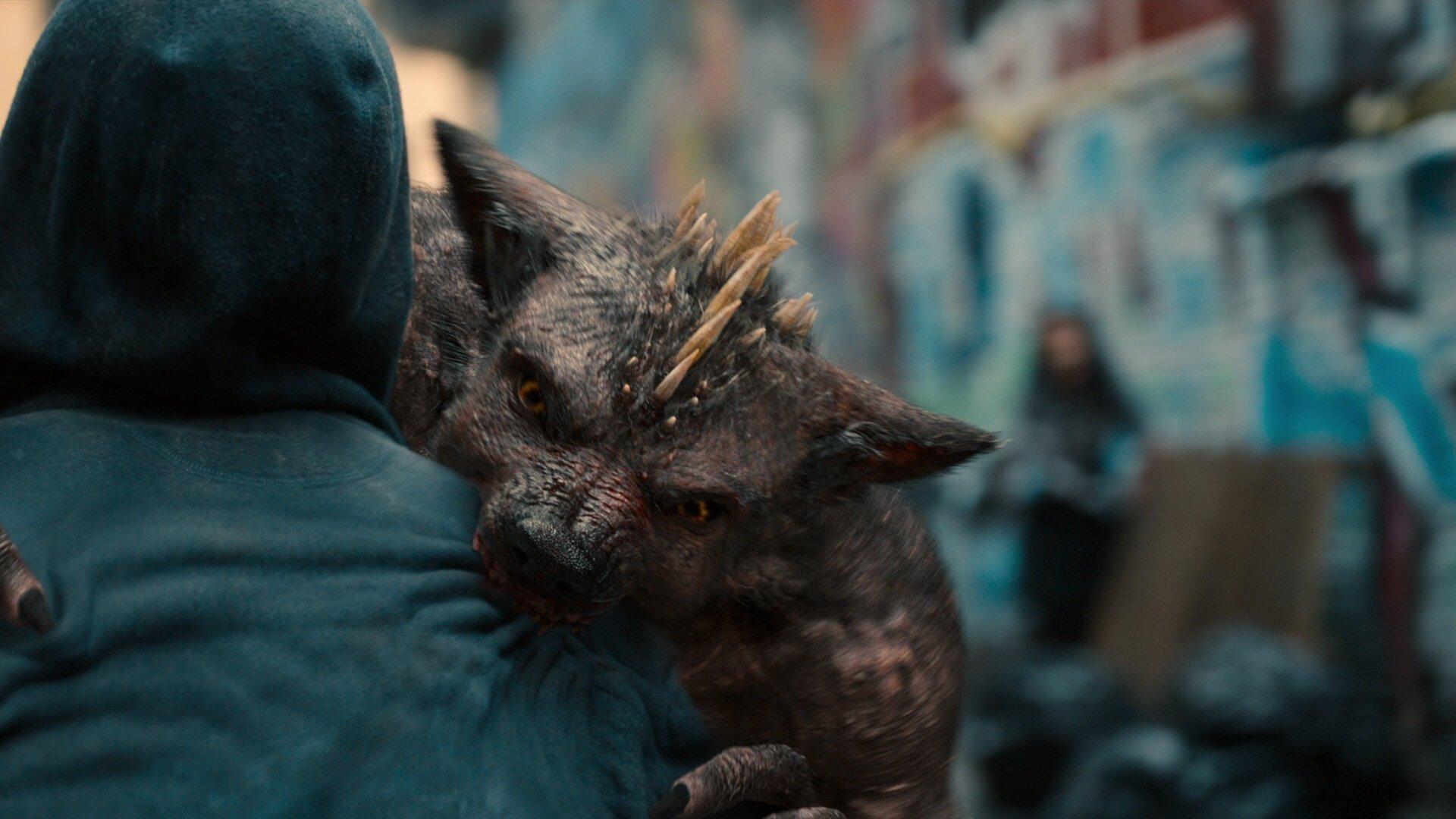 Still from Cure All