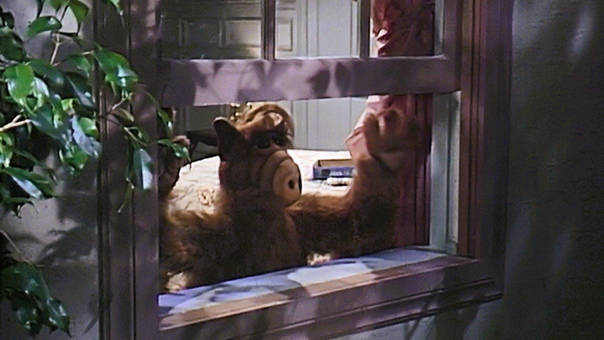 Still from Strangers in the Night