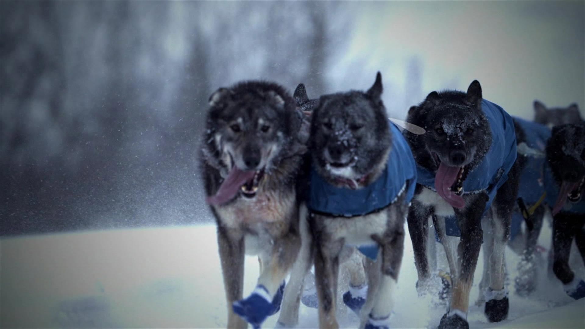 Still from Bulletproof