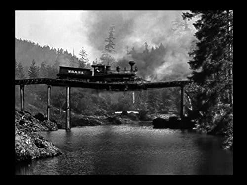 Still from The Hollywood Dream