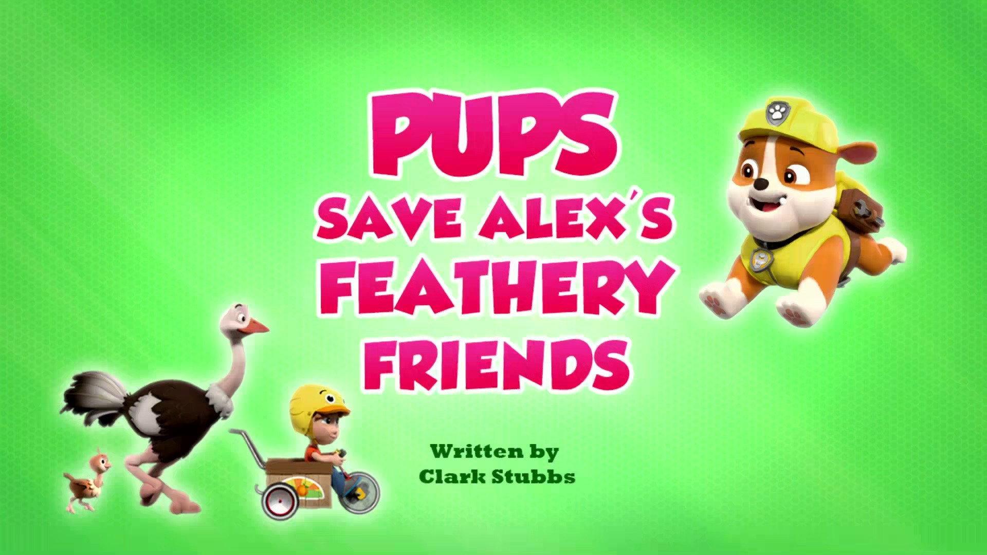 Still from Pups Save Alex's Feathery Friends