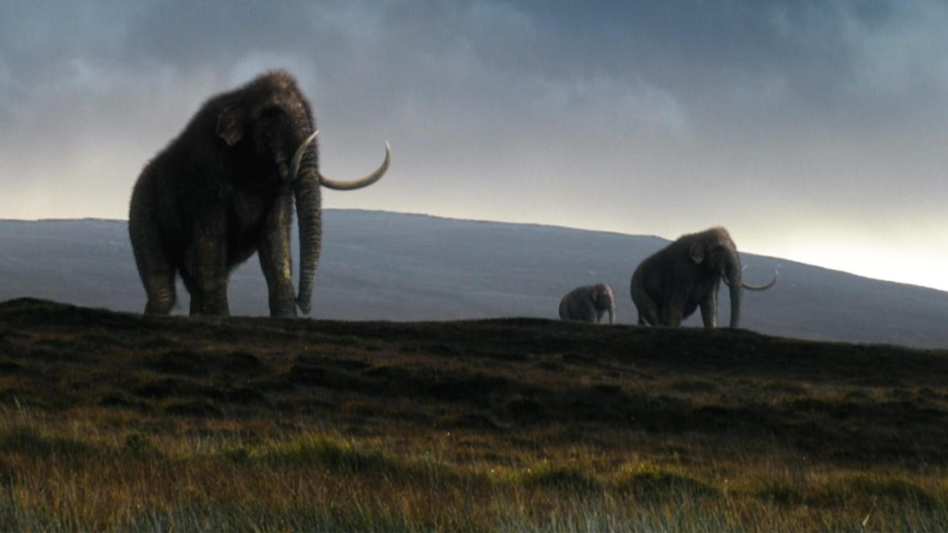 Still from Great Mammoth Mystery